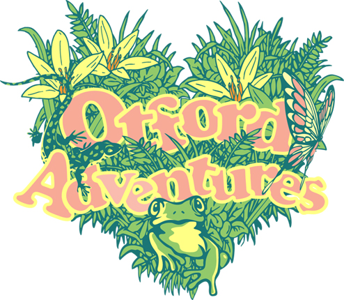 You are currently viewing Otford Adventures Project is launched